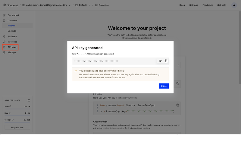 Get the Pinecone API key