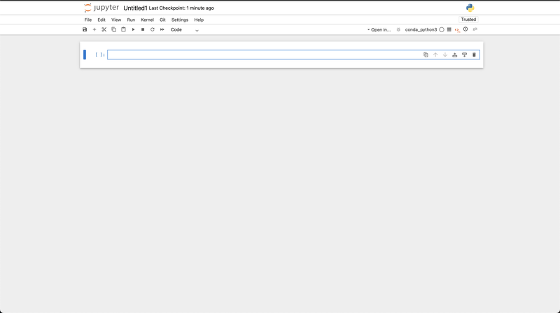 A Blank Jupyter Notebook